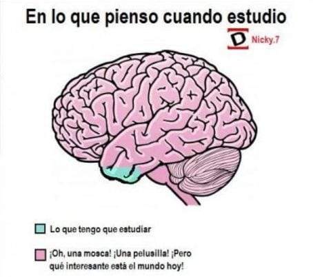 TIPS PARA ESTUDIAR PARA TU EXAMEN CENEVAL | Guía Ceneval Resuelta 2021 Acredita al 100%